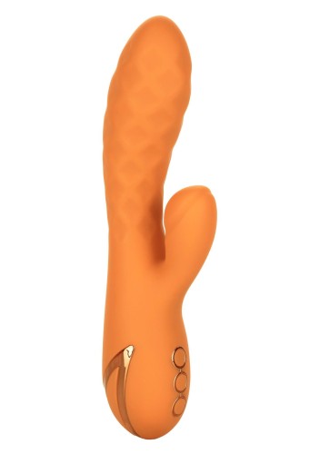 13448_ORANGE_01.jpg