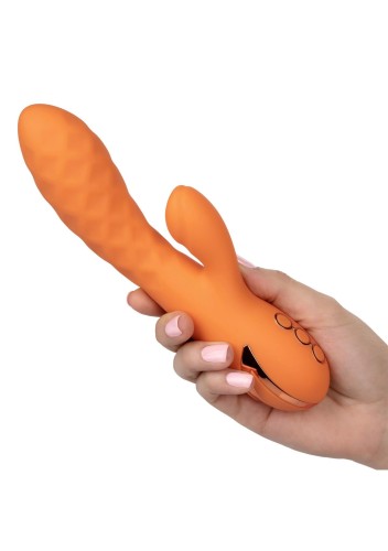 13448_ORANGE_03.jpg