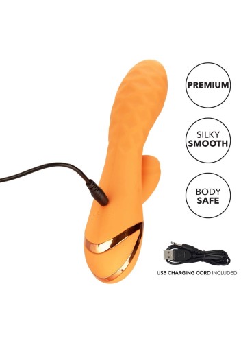13448_ORANGE_05.jpg