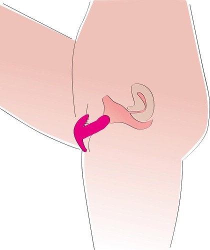 42-05821310000_7.jpg
