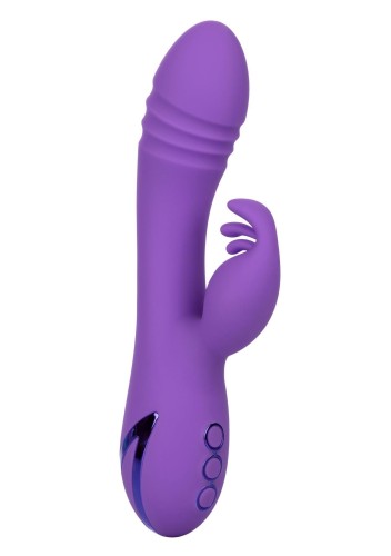 14351_PURPLE_01.jpg