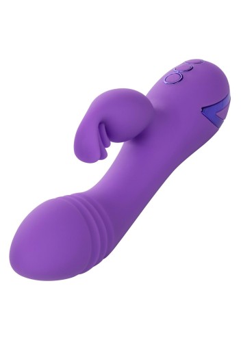 14351_PURPLE_03.jpg