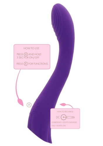10520_PURPLE_08.jpg