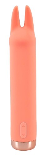 42-05533520000_2.jpg