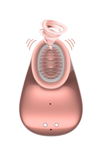 36-INN001ROS_01.jpg