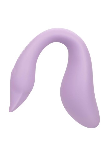 13818_PURPLE_15.jpg