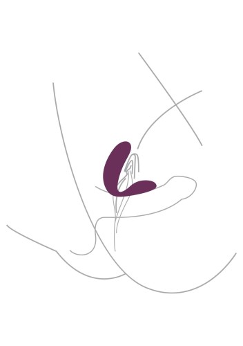 11107_PURPLE_06.jpg