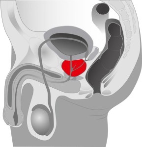 Prostata Twister masażer prostaty z wirnikiem i 5 trybami obrotu - 7