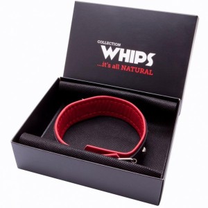 WHIPS obroża skórzana z ćwiekami – regulowana, 38–44 cm - 1
