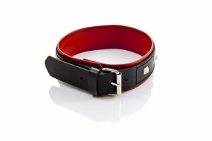 WHIPS obroża skórzana z ćwiekami – regulowana, 38–44 cm - 2