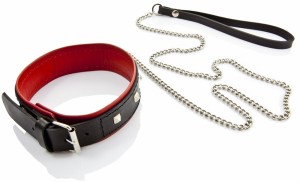 WHIPS obroża skórzana z ćwiekami – smycz 120 cm, regulowana - 4