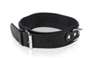 WHIPS obroża skórzana – regulacja 42–50 cm, smycz 120 cm - 3