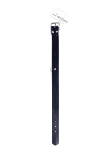 33-00101_2.jpg