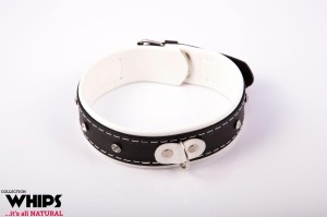 WHIPS obroża z naturalnej skóry – 4 cm, biała, 38–44 cm - 1