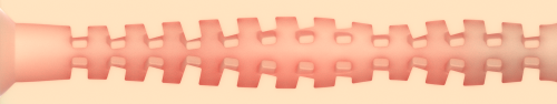 foto_add-34879.png